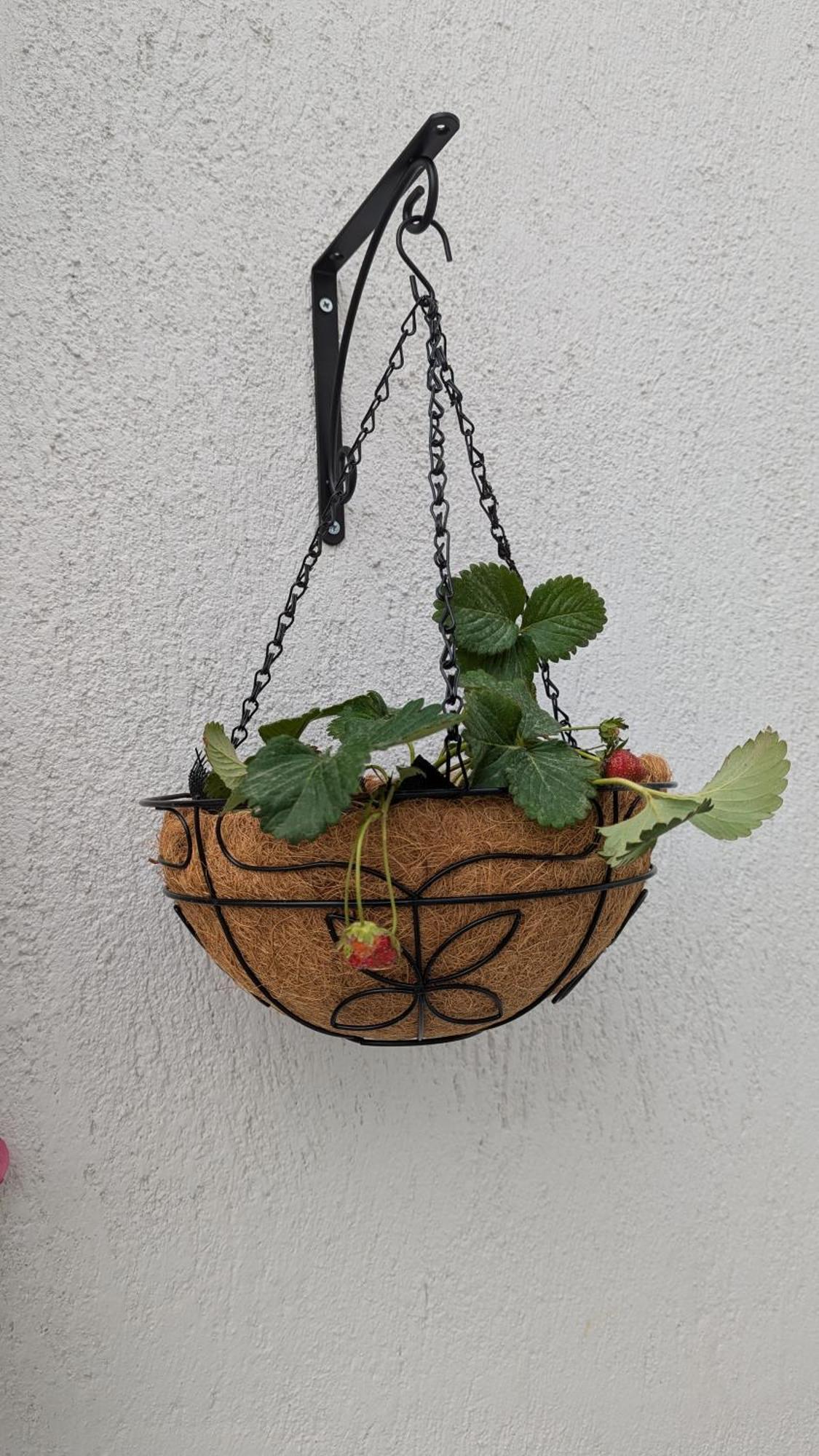 The Botanist Guesthouse Скопелос Екстериор снимка