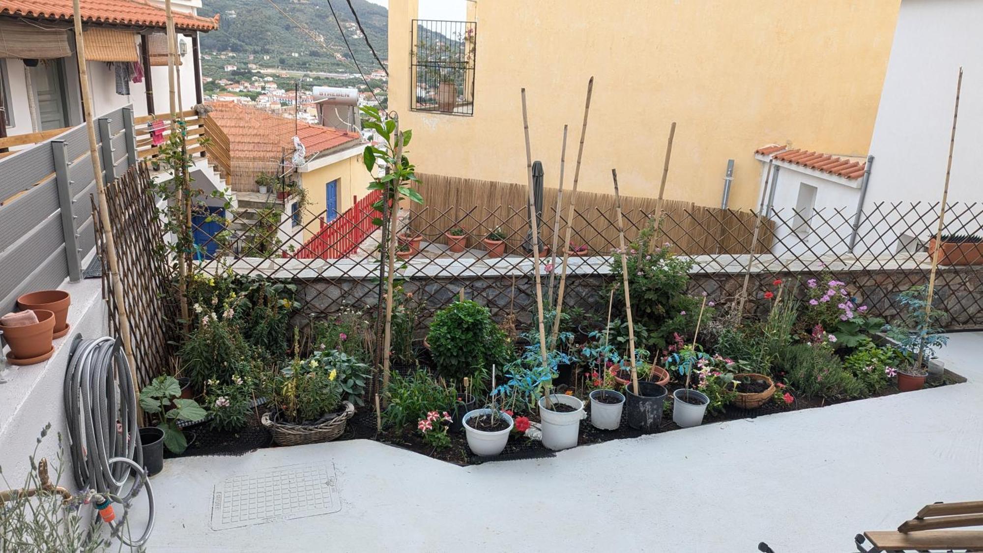 The Botanist Guesthouse Скопелос Екстериор снимка